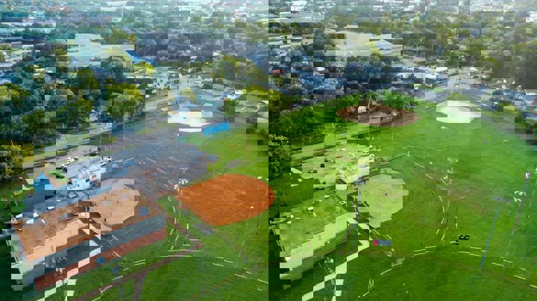 Allarme per la diffusione di zanzare tigre nelle aree verdi milanesi